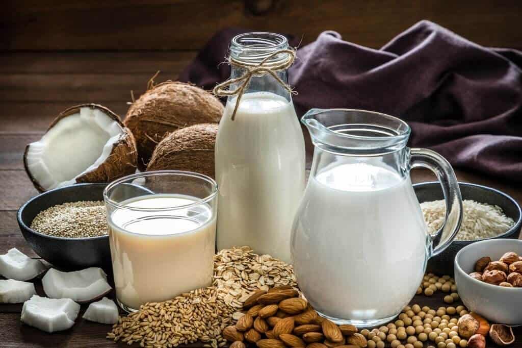 Plant-based Milk