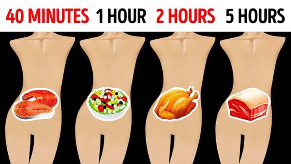 Time it Takes to Digest Certain Foods