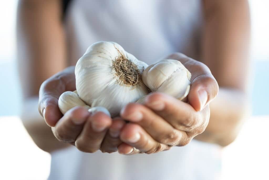 Garlic is a versatile herb that has health benefits