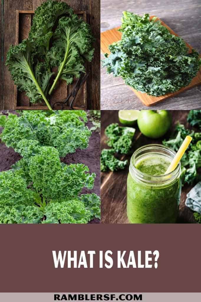 What is Kale