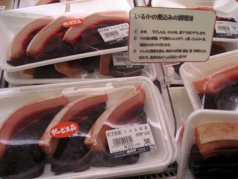 Is Japan the Only Country That Eats Dolphins
