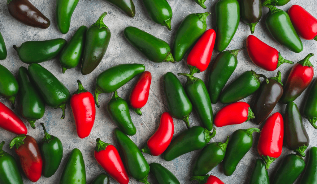 Why Do Some Jalapenos Turn Red?