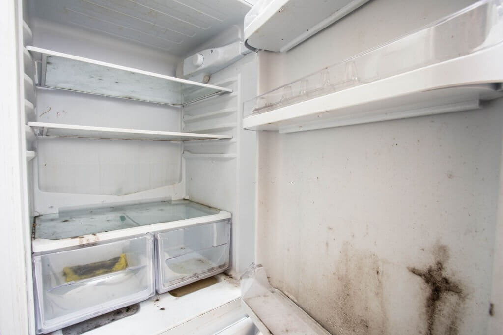 Can A Refrigerant Leak Damage The Refrigerator?