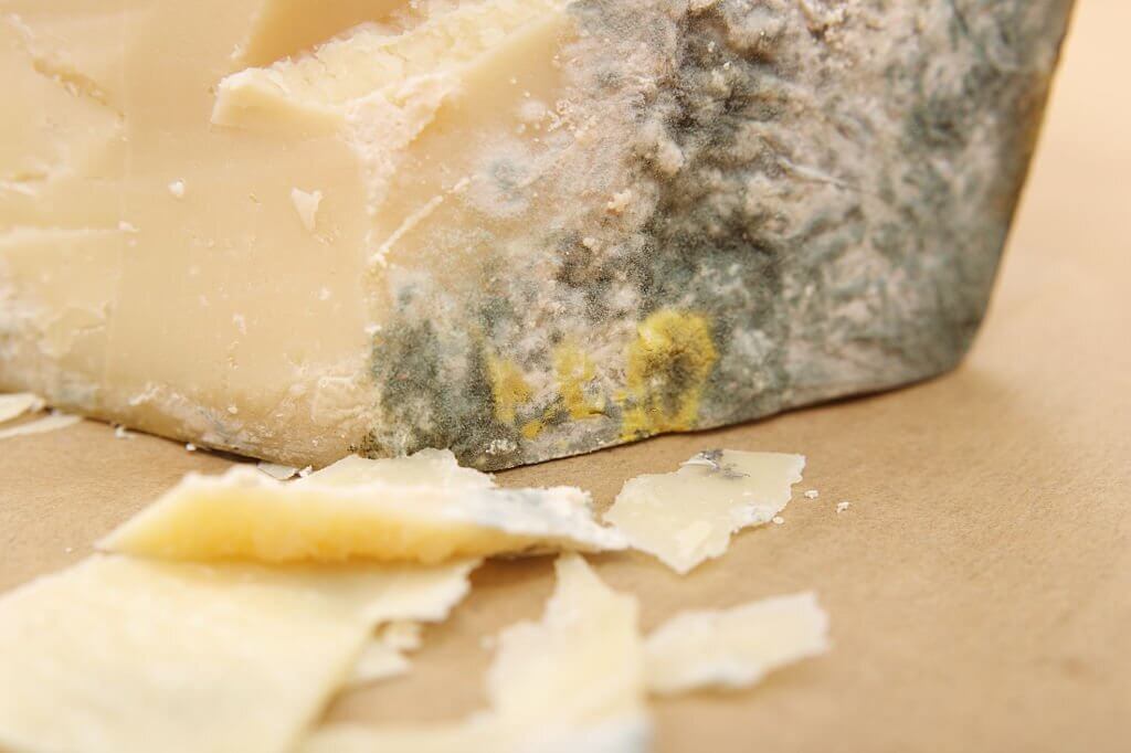 Is It Safe To Eat Moldy Butter?