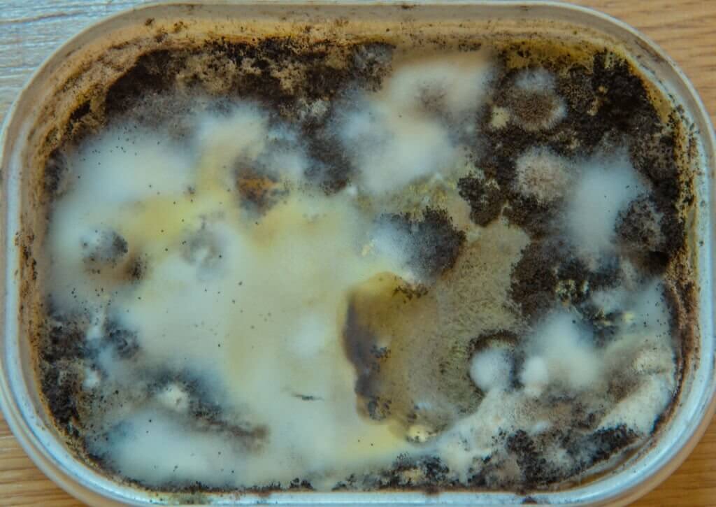 What Causes Mold On Butter?