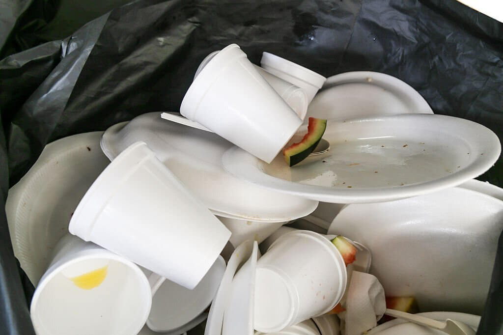 Can Plastics Go In The Dishwasher?
