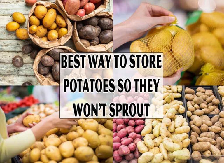 Best Way To Store Potatoes So They Won't Sprout