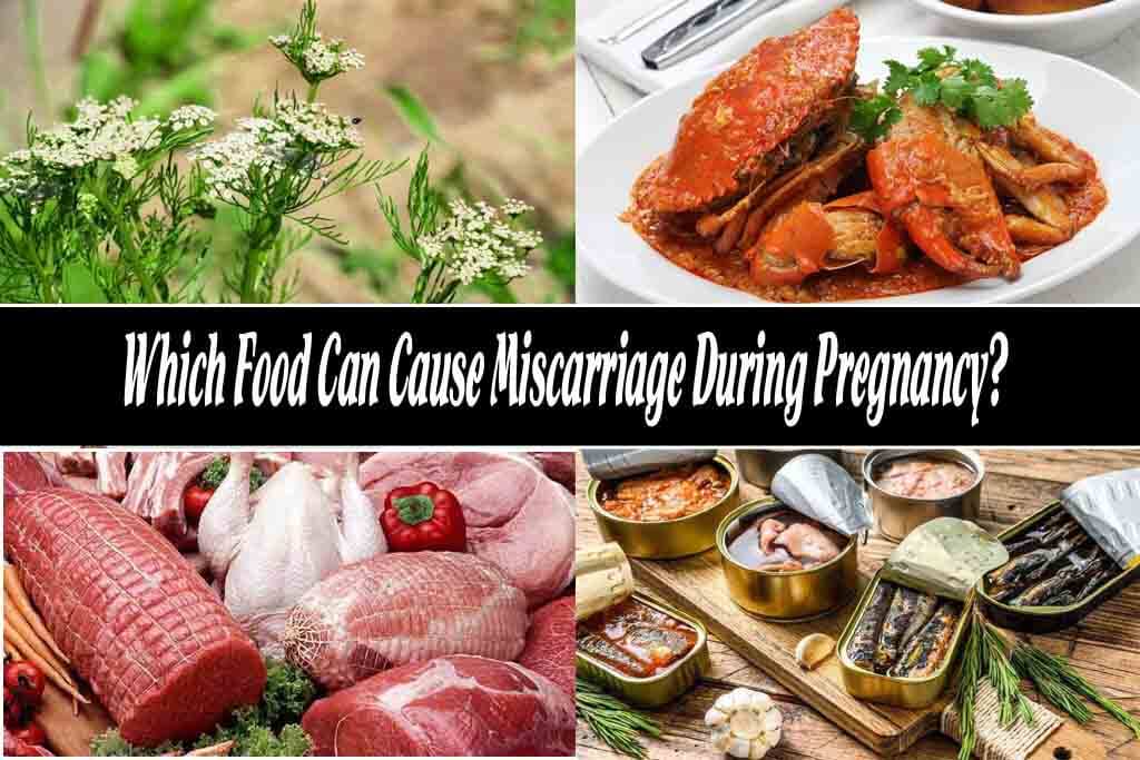 Which Food Can Cause Miscarriage During Pregnancy?