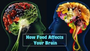 How Food Affects Your Brain