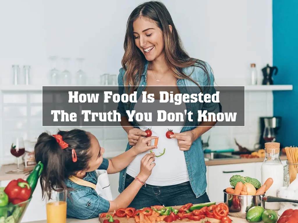 How Food Is Digested – The Truth You Don’t Know