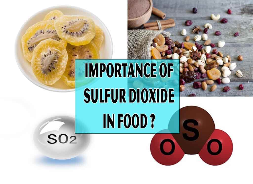 Importance Of Sulfur Dioxide In Food
