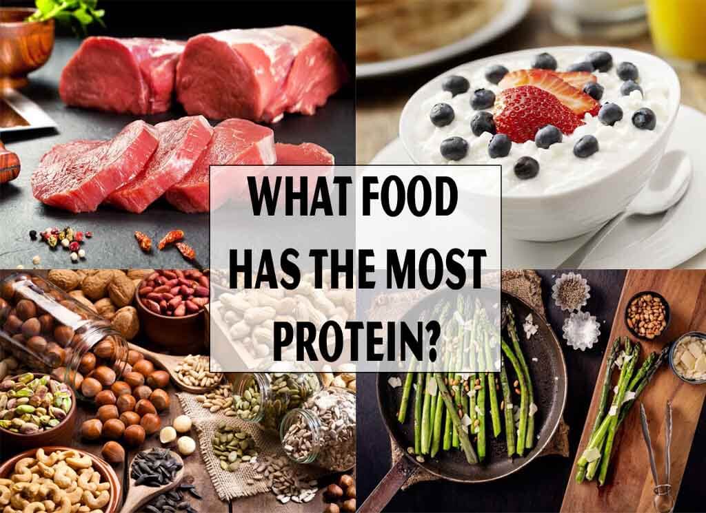 What Food Has the Most Protein?