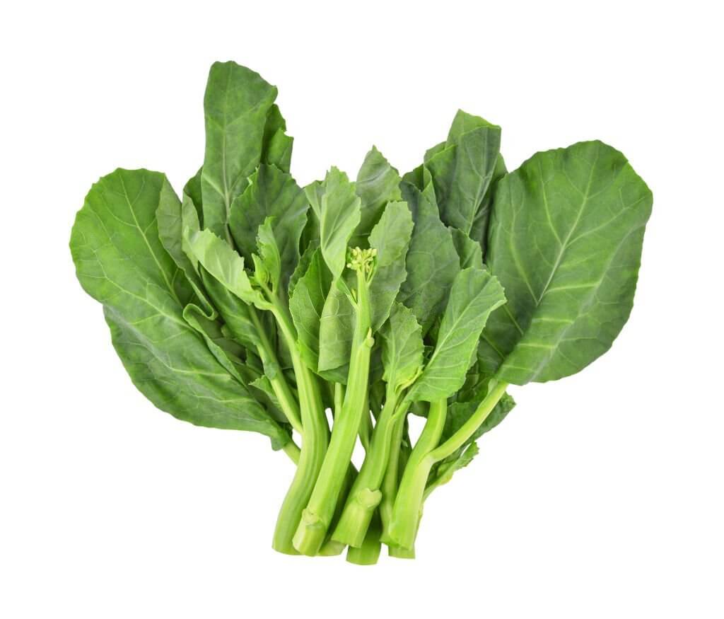 Chinese Kale