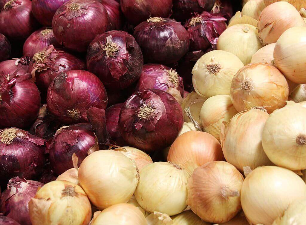type of onion is used in fajitas