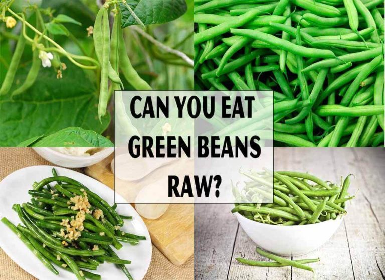 Can You Eat Green Beans Raw Ramblersf