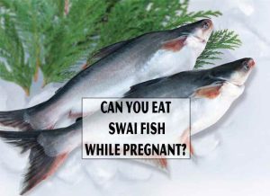 Can You Eat Swai Fish While Pregnant