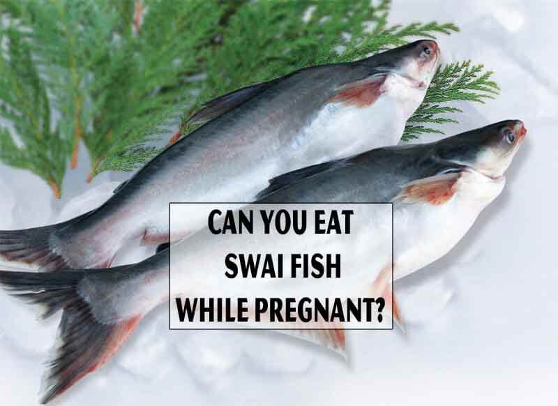 Can You Eat Swai Fish While Pregnant?
