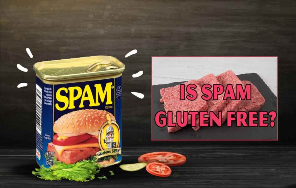 Is Spam Gluten Free? 7+ Varieties of Spam