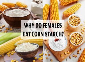 Why Do Females Eat Corn Starch