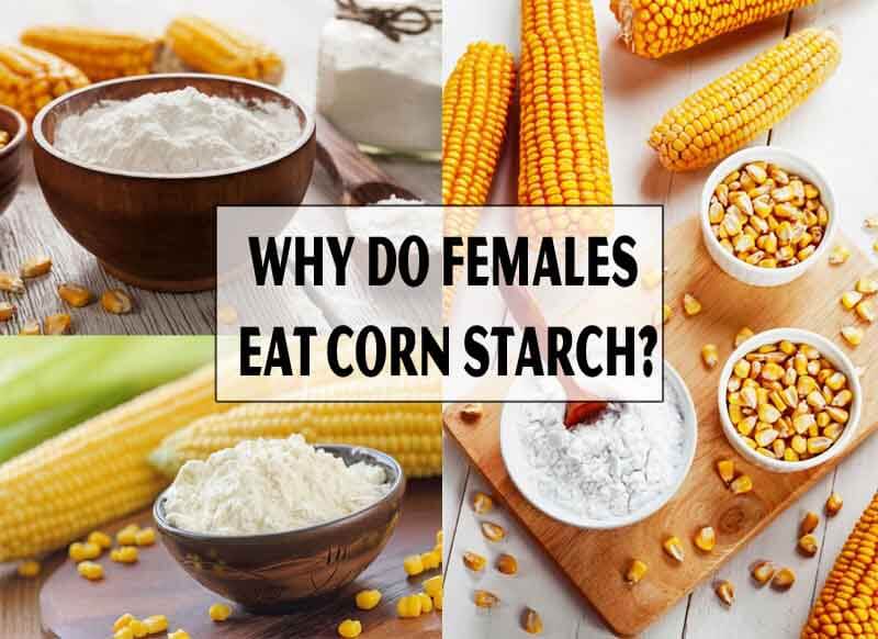 Why Do Females Eat Corn Starch (3 Main Reasons)