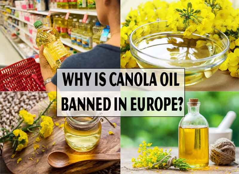 Why is Canola Oil Banned In Europe ( 4+ Reason)