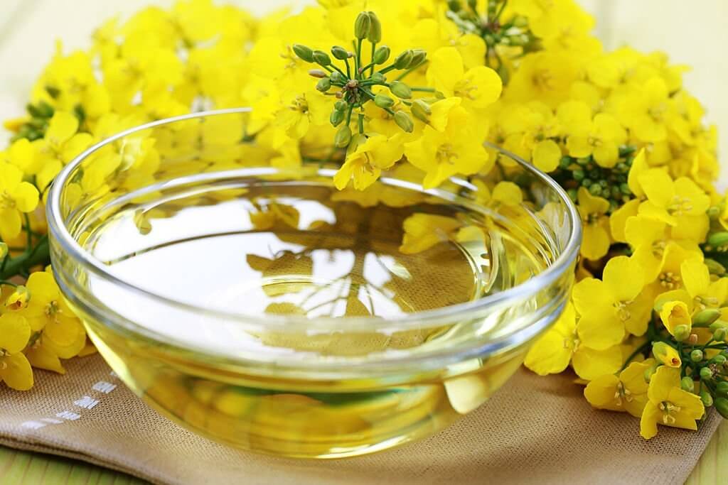 Why is canola oil banned in Europe