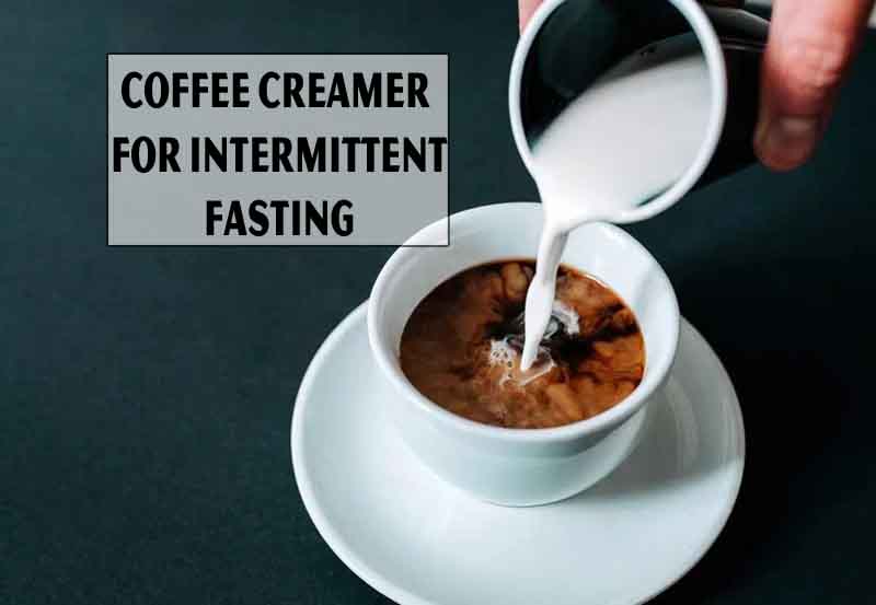 Best Coffee Creamer For Intermittent Fasting