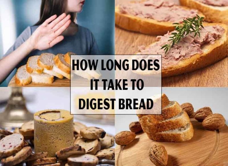 how-long-does-it-take-to-digest-bread-ramblersf