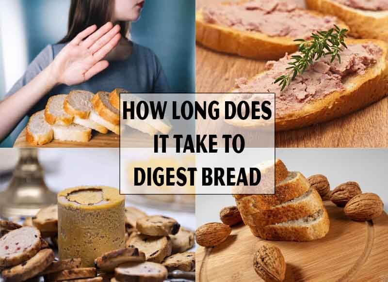 How Long Does It Take To Digest Bread