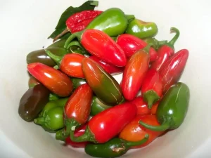 Why Do Jalapenos Turn Red? All You Need To Know