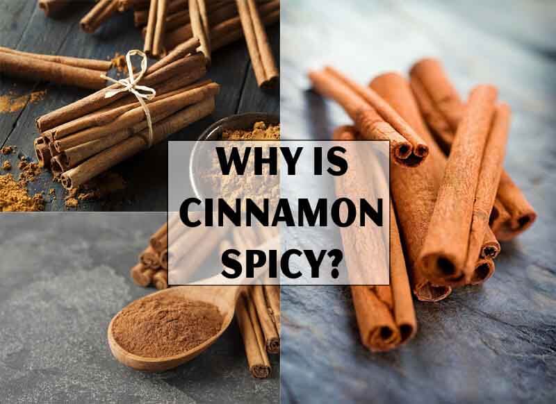 Why Is Cinnamon Spicy? 4+ Health Benefit Of Cinnamon