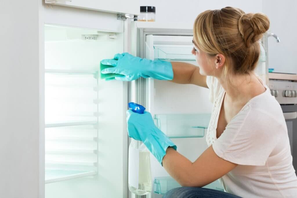How To Prevent My Fridge From Chemical Smell