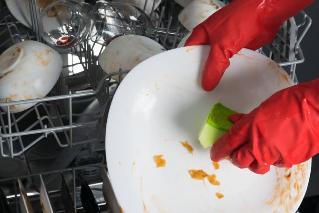 Can I Put Moldy Dishes In The Dishwasher