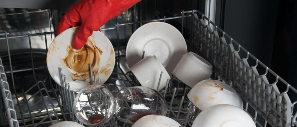 What Causes Mold In The Dishwasher?